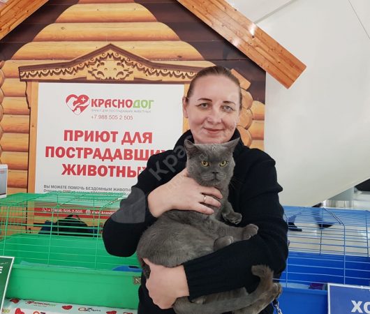 Итоги выставки в ТЦ 