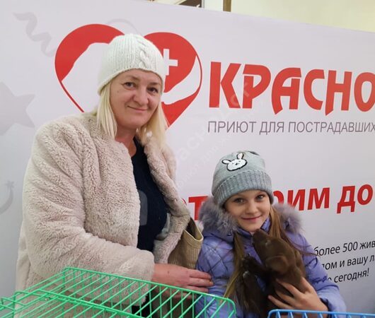 Отчет выставки в Мегацентре 