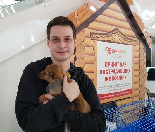 Отчет выставки в ТЦ 