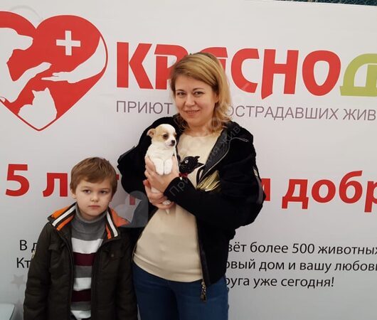 Выставка в Мегацентре 