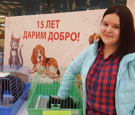 Выставка в Мегацентре 