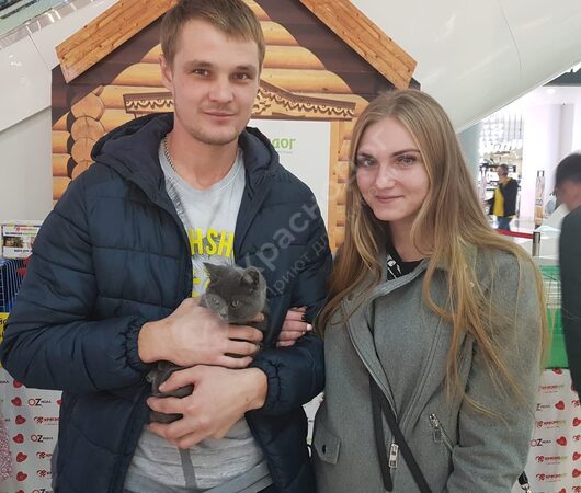 Выставка в ТЦ 