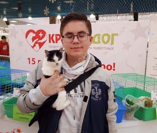 Отчет выставки в Мегацентре 