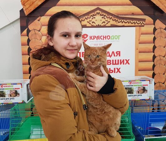 Отчет выставки в ТЦ Оз-молл 11-12 января