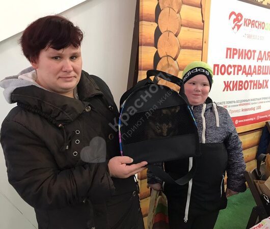 Отчет выставки в ТЦ 
