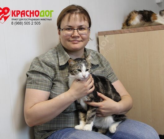 Брюсов