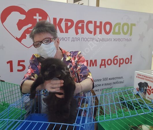 Лётя