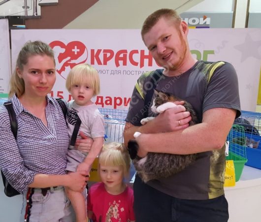 Трель