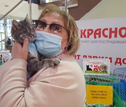 Дельта