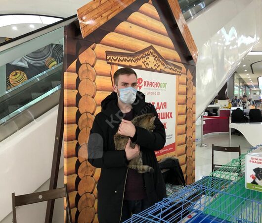 Хлопушка