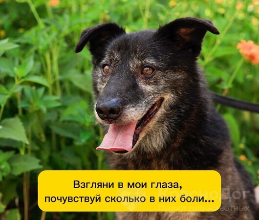 Форд