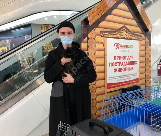 Урсула