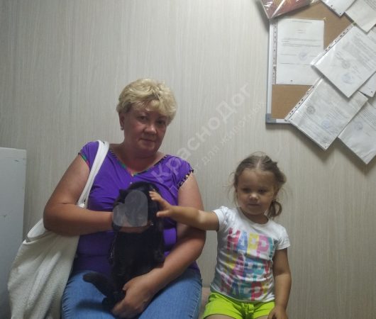 Святозар