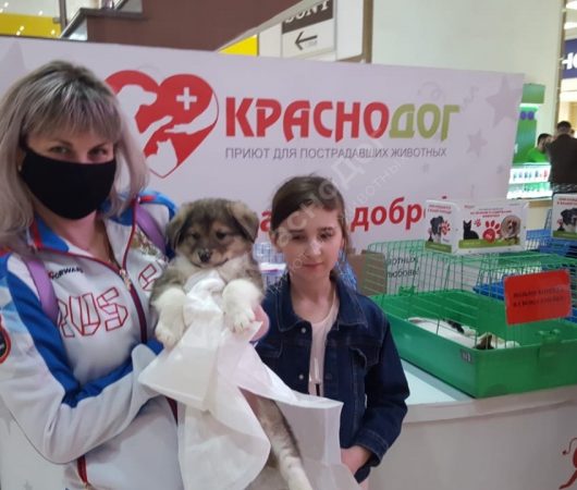 Моржик