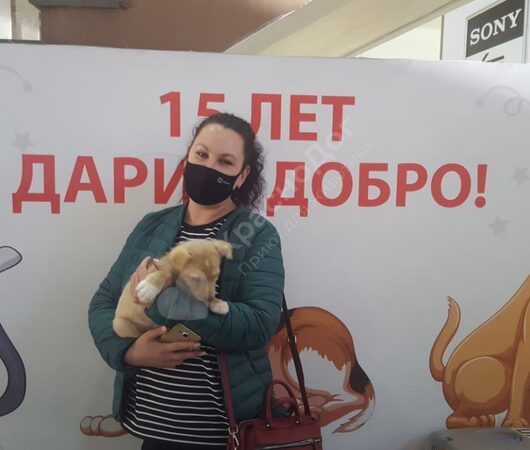 Авангард