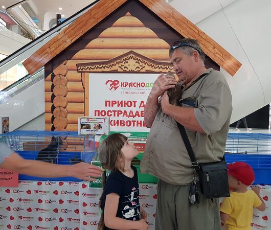 Треног