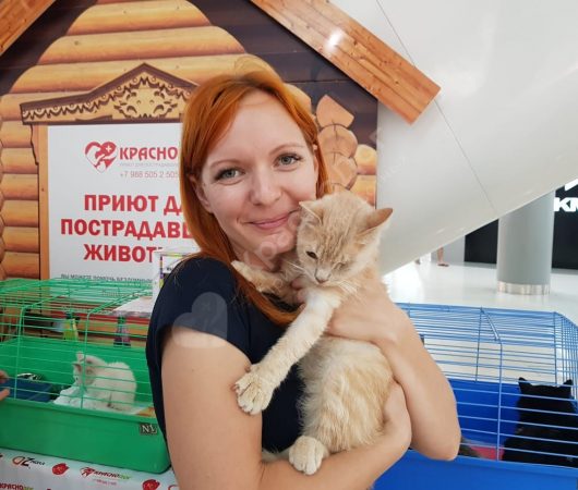 Чичако