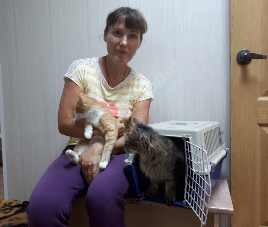 Сильва