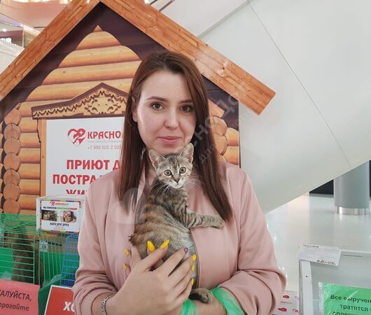 Изольда