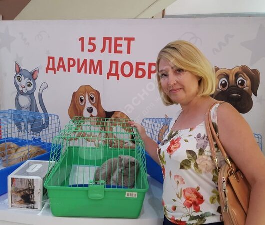 Джайна