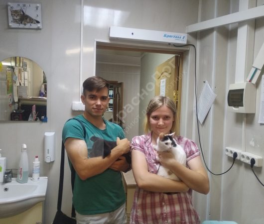 Дмитрий
