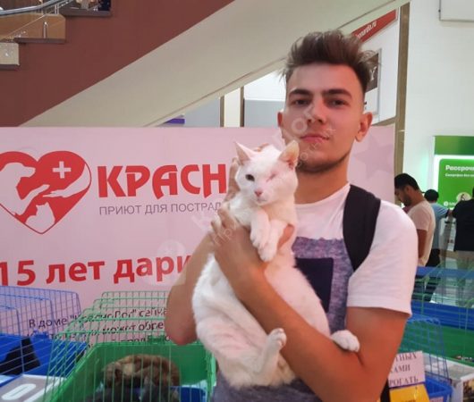Ландыш