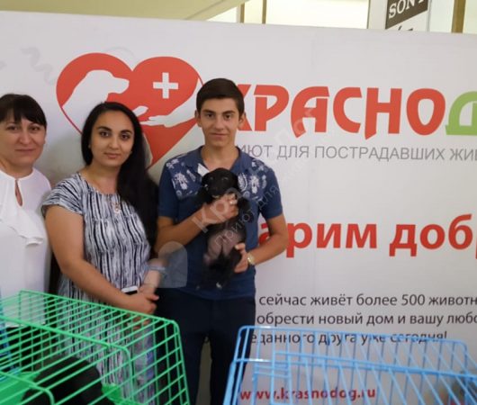 Флоки