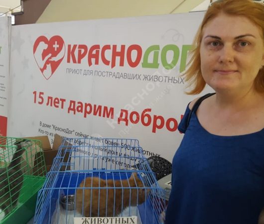 Цитрус