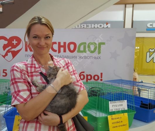 Свирель