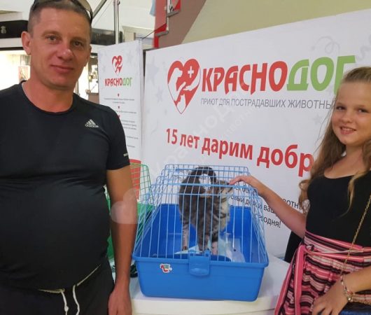 Вискас