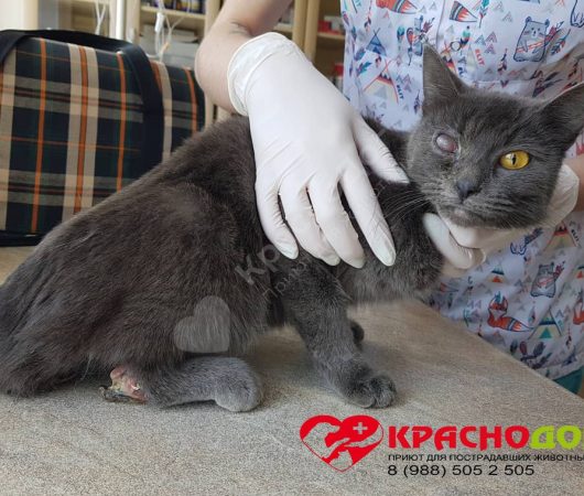Сансара
