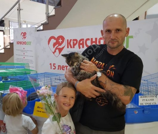 Суворов