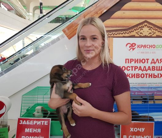 Леонардо