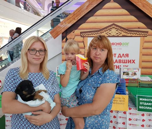 Лукас