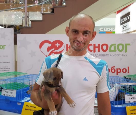 Лала