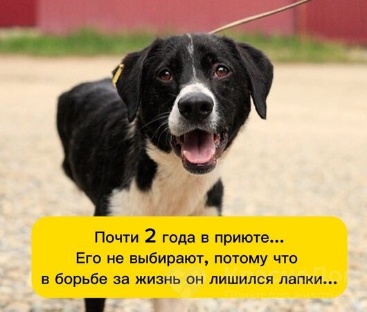 Аштар