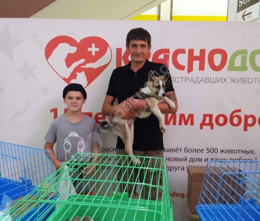 Роки