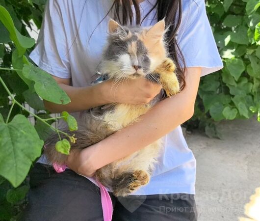 Жемчужина