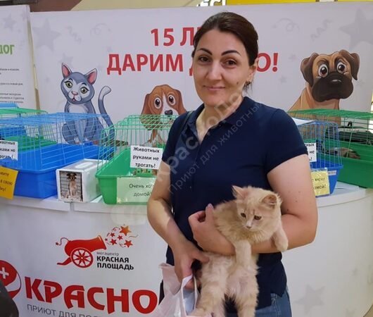 Штурман