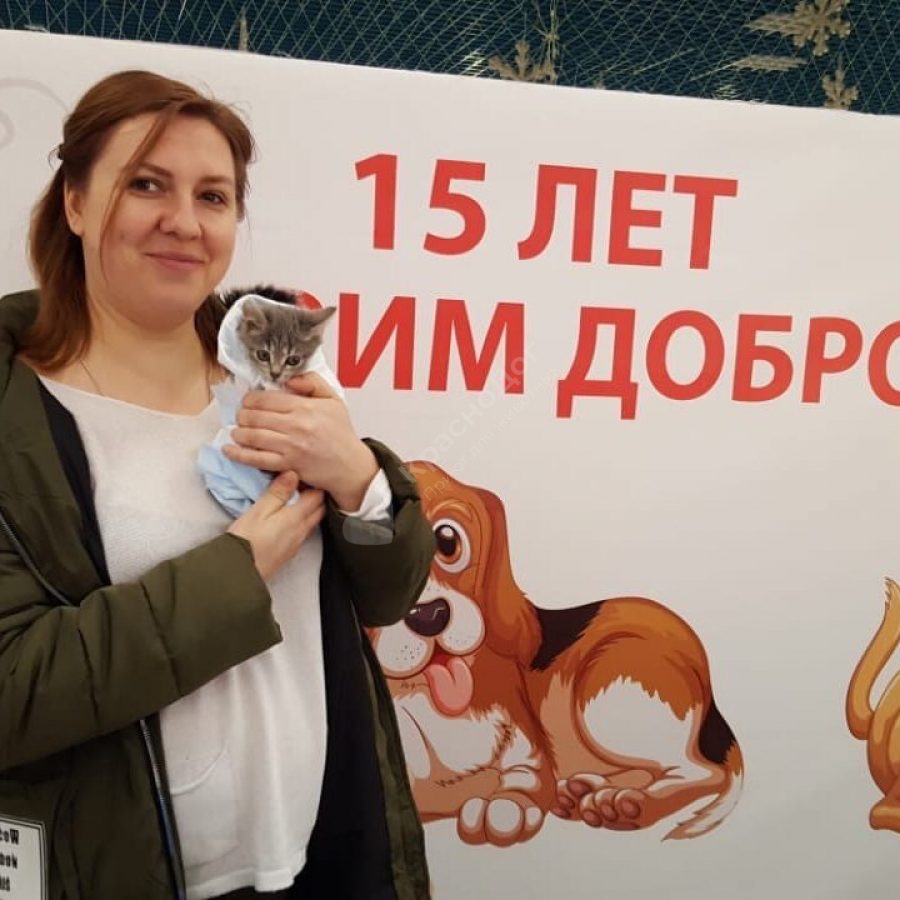 Отчет выставки в Мегацентре 