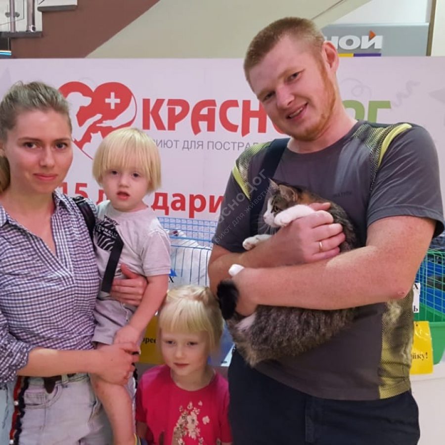 Выставка в Мегацентре 